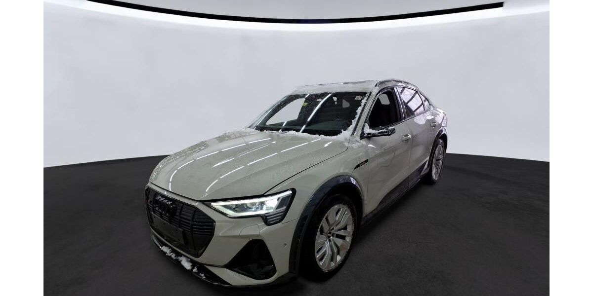 Audi e-tron 68.948 km 44.650 &euro; Hagen 58091