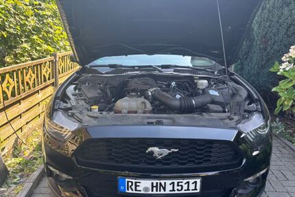 Ford Mustang 63.500 km 22.500 &euro; Marl 45772