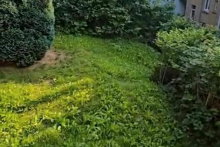 Wohnung Wuppertal Gemarkung Langerfeld - 1 Zimmer, 40 m&sup2;, 500&euro; | Angebot:25943721