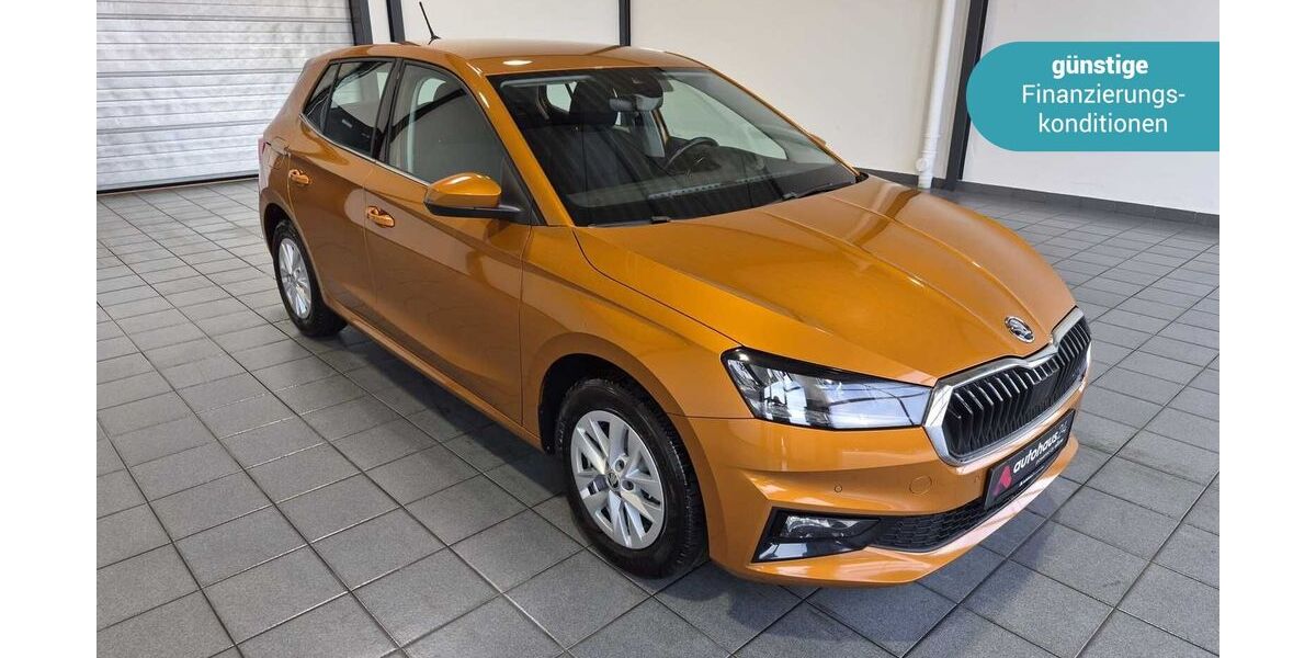 Skoda Fabia 50.978 km 16.990 &euro; Wuppertal 42287