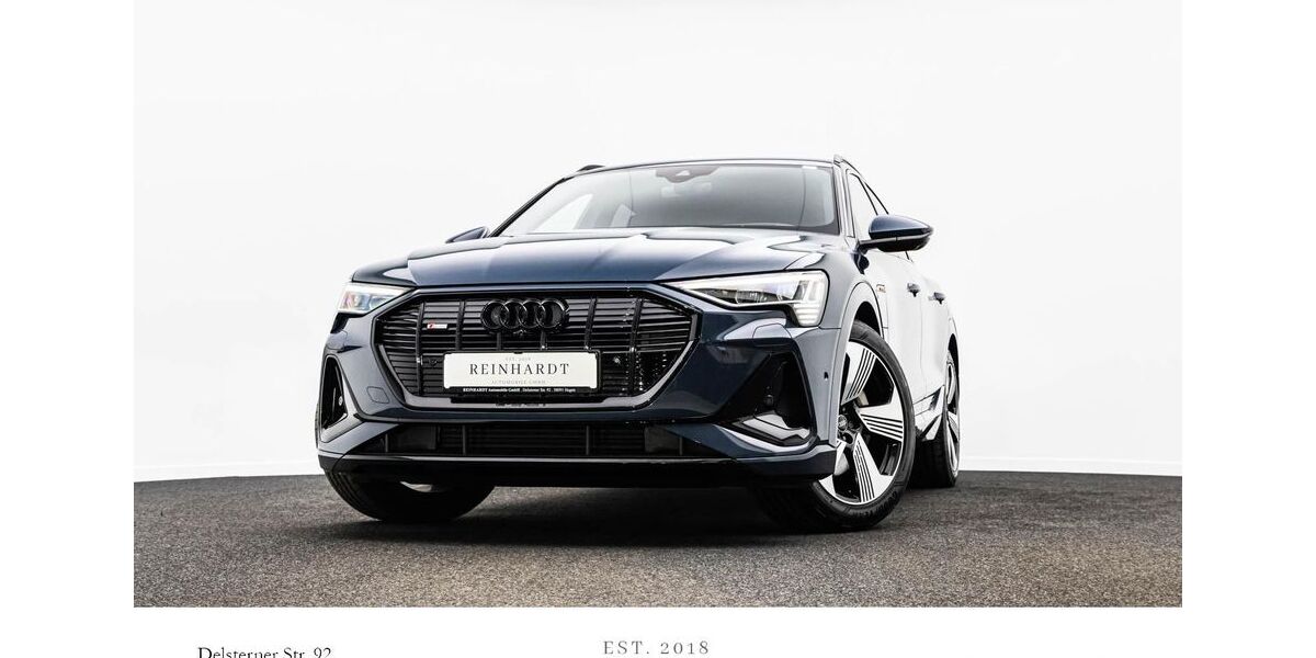Audi e-tron 51.428 km 34.355 &euro; Hagen 58091