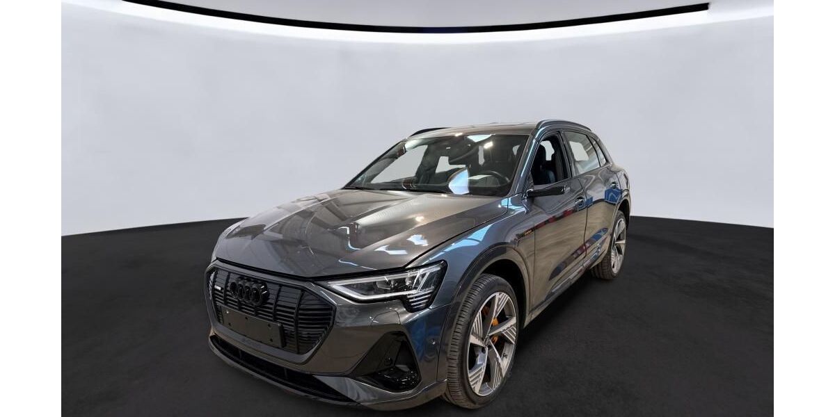 Audi e-tron 42.382 km 38.250 &euro; Hagen 58091