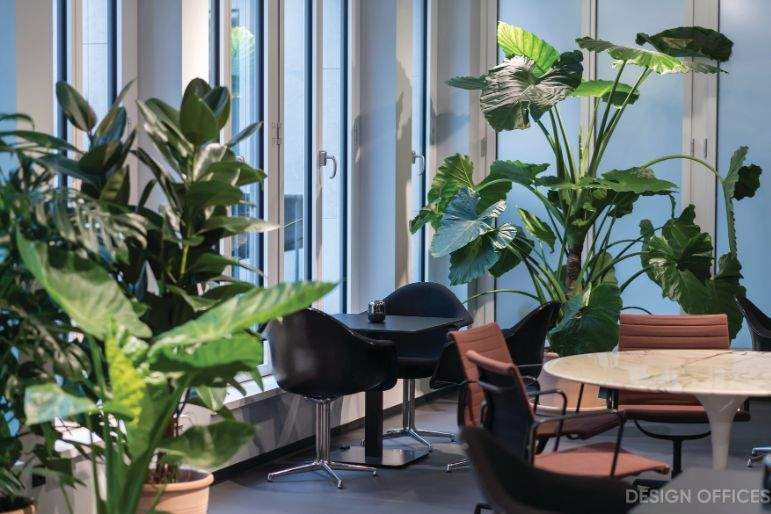 Gewerbeobjekt Essen Südviertel - 650&euro; | Angebot:25867791