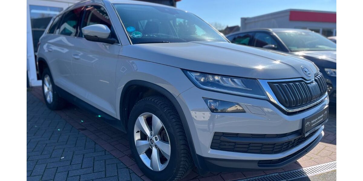 Skoda Kodiaq 225.000 km 17.990 &euro; Castrop Rauxel 44579