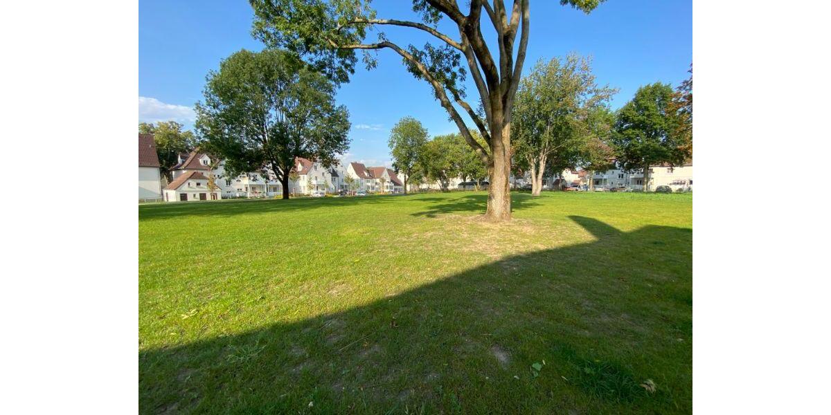 Etagenwohnung Gelsenkirchen Erle - 2.5 Zimmer, 67 m&sup2;, 353&euro; | Angebot:25796691