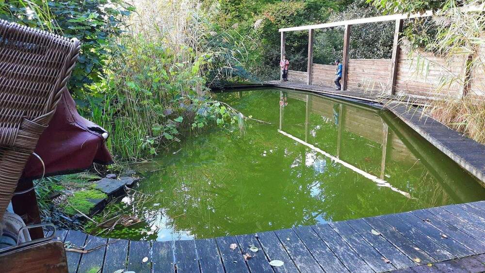 Einfamilienhaus Essen Heidhausen - 7 Zimmer, 160 m&sup2;, 880.000&euro; | Angebot:25782941