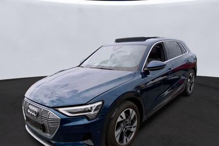 Audi e-tron 31.424 km 31.420 &euro; Hagen 58091