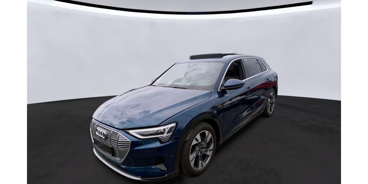 Audi e-tron 31.424 km 31.460 &euro; Hagen 58091
