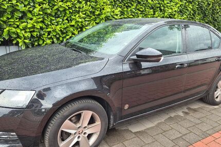 Skoda Octavia 160.000 km 13.500 &euro; Haltern am See 45721