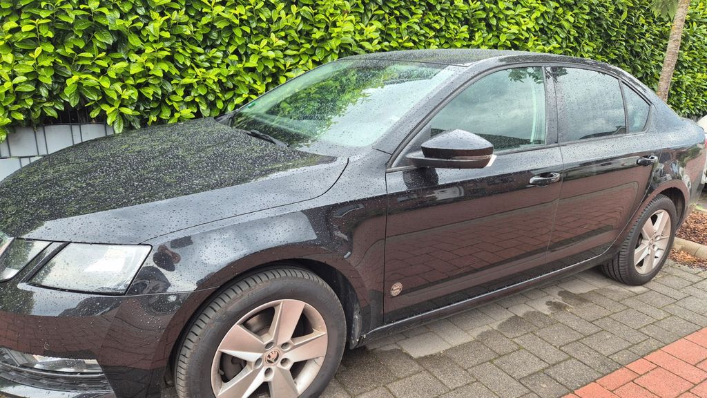 Skoda Octavia 160.000 km 13.500 &euro; Haltern am See 45721