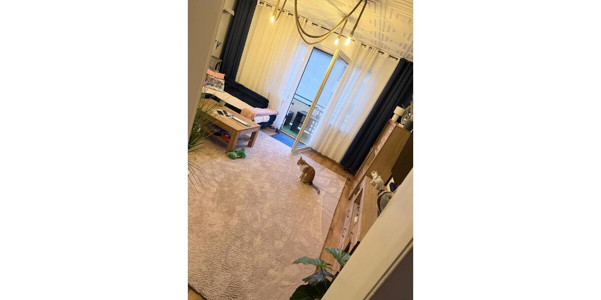 Etagenwohnung Recklinghausen König Ludwig - 3.5 Zimmer, 62 m&sup2;, 540&euro; | Angebot:25328004