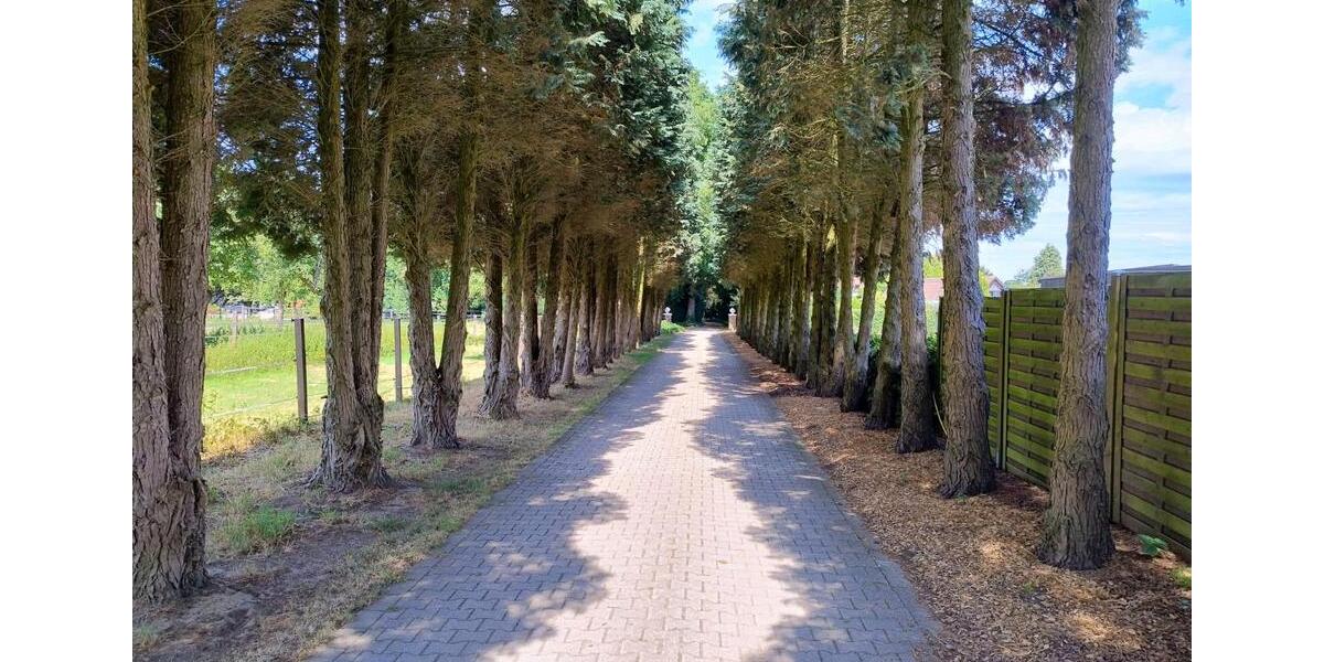 Erdgeschoßwohnung Bottrop Feldhausen - 3 Zimmer, 125 m&sup2;, 1.400&euro; | Angebot:24886214