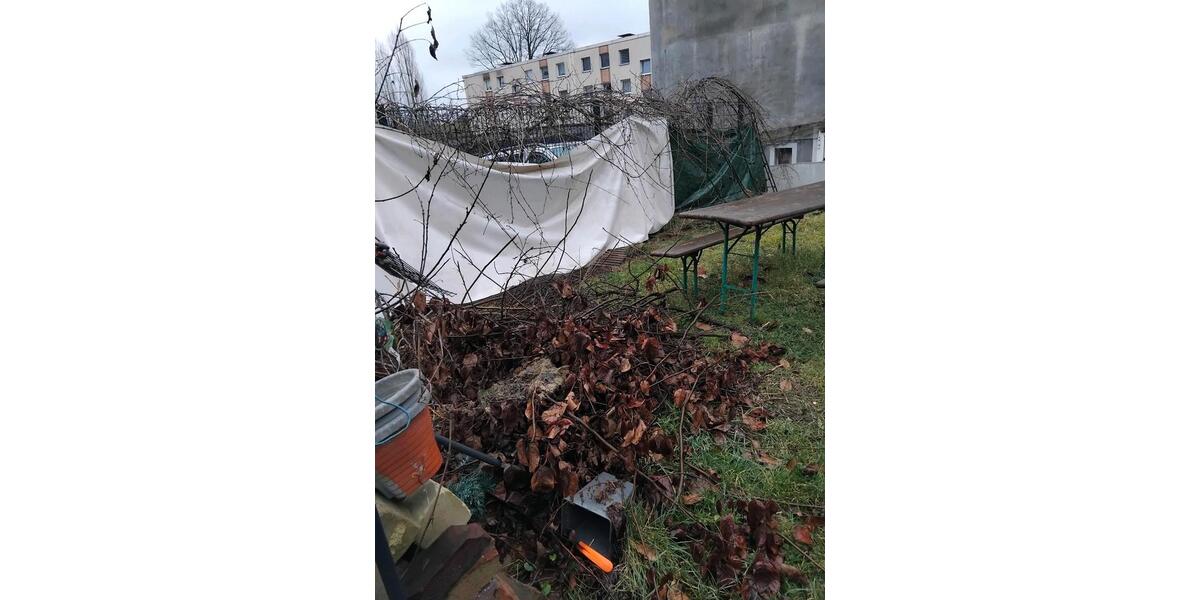 Dachgeschoßwohnung Bochum Bochum-Mitte - 4 Zimmer, 57 m&sup2;, 650&euro; | Angebot:25255184