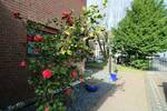 Einfamilienhaus Essen Frintrop - 6 Zimmer, 265 m&sup2;, 899.000&euro; | Angebot:26826071