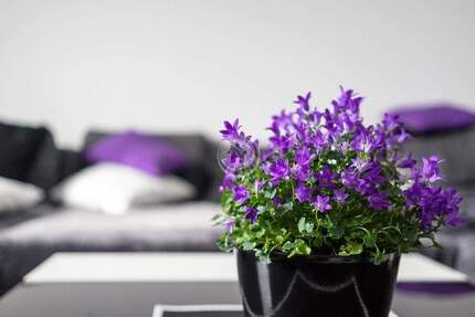 Haus Hagen Hohenlimburg - 1 Zimmer, 210 m&sup2;, 270.000&euro; | Angebot:25671090