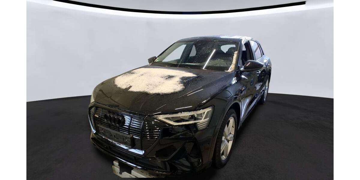 Audi e-tron 47.861 km 33.950 &euro; Hagen 58091