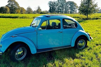 VW Käfer 53.000 km 11.900 &euro; Dorsten 46282