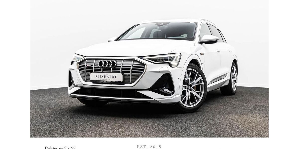 Audi e-tron 69.207 km 34.694 &euro; Hagen 58091