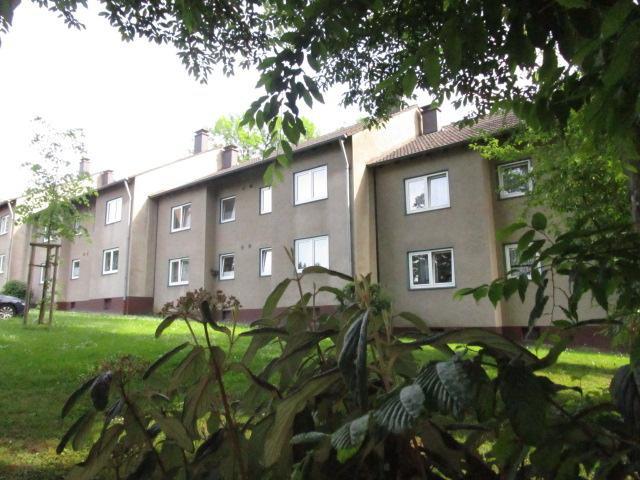 Etagenwohnung Recklinghausen Berghausen - 2 Zimmer, 53 m&sup2;, 437&euro; | Angebot:25927191