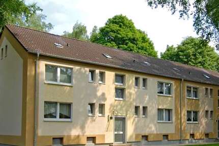 Wohnung Recklinghausen Hochlarmark - 3 Zimmer, 52 m&sup2;, 274&euro; | Angebot:27098362