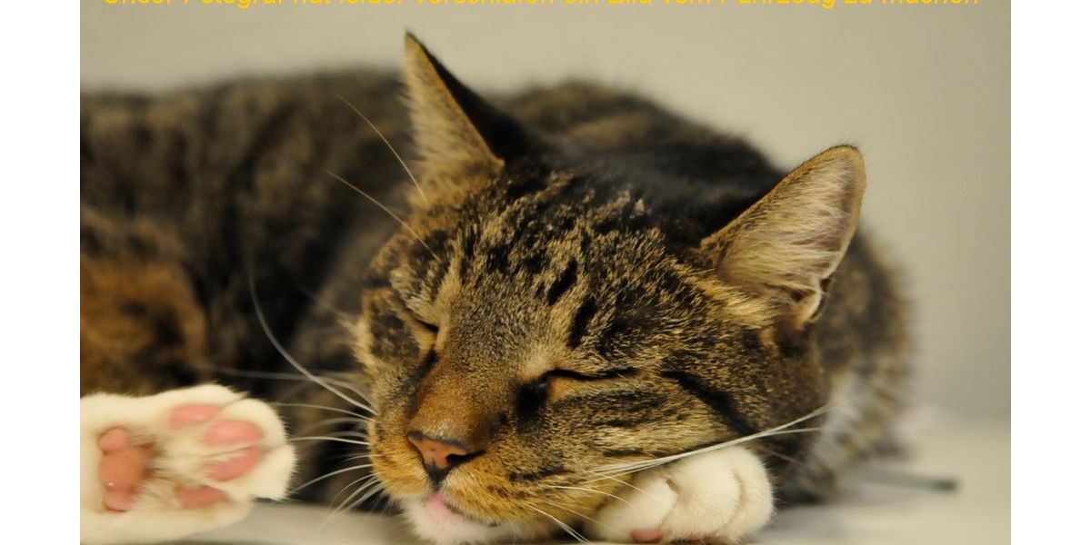 Skoda Superb 190.902 km 7.700 &euro; Oberhausen 46149