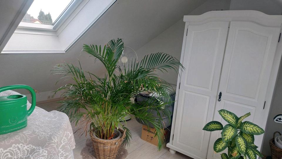 Reihenhaus Castrop-Rauxel Becklem - 3 Zimmer, 70 m&sup2;, 299.000&euro; | Angebot:26940650