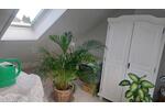 Reihenhaus Castrop-Rauxel Becklem - 3 Zimmer, 70 m&sup2;, 299.000&euro; | Angebot:26940650