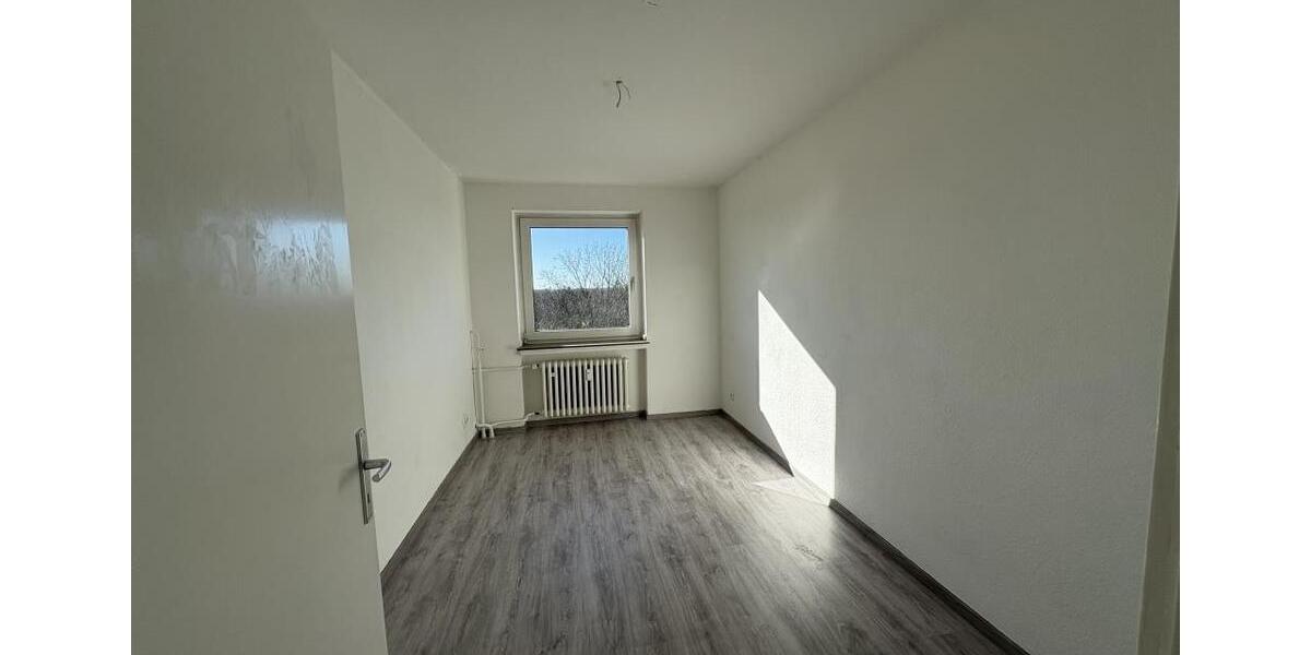Etagenwohnung Gelsenkirchen Gelsenkirchen-Nord - 3.5 Zimmer, 62 m&sup2;, 439&euro; | Angebot:25310041
