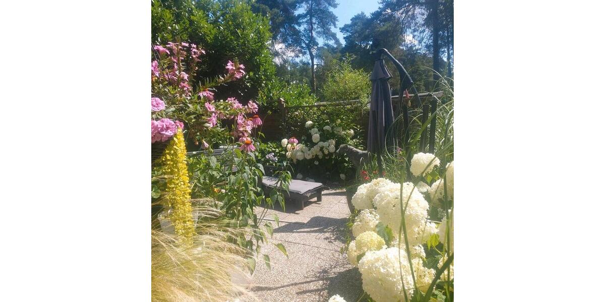 Einfamilienhaus Olfen - 93.000&euro; | Angebot:26048685