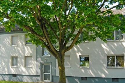 Wohnung Essen Stadtbezirk III - 2 Zimmer, 48 m&sup2;, 469&euro; | Angebot:26041757