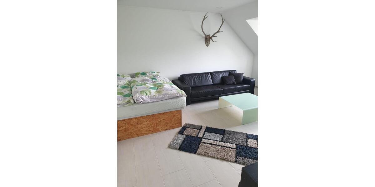Dachgeschoßwohnung Recklinghausen - 1 Zimmer, 39 m&sup2;, 350&euro; | Angebot:25891390