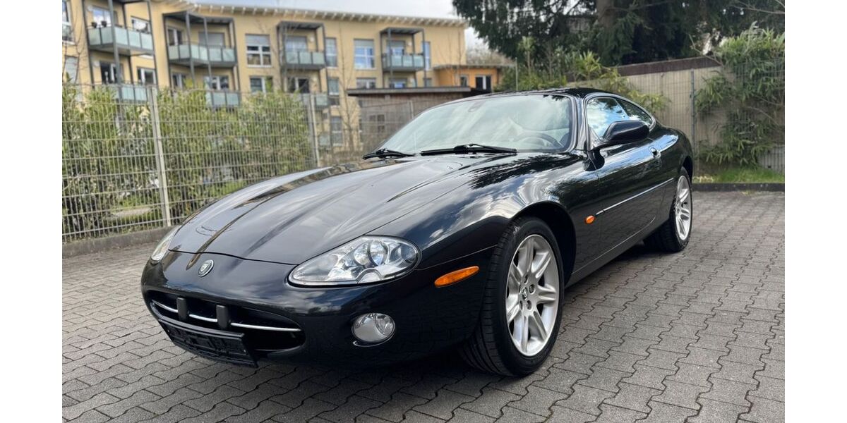 Jaguar XK 100.000 km 11.900 &euro; Herne ( Nordrhein-Westfalen ) 44628