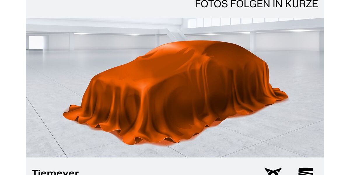 Cupra Formentor 65.184 km 29.970 &euro; Bochum 44809