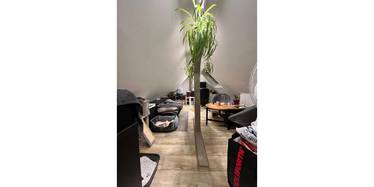 Maisonettenwohnung Hagen Hagen-Mitte - 3.5 Zimmer, 70 m&sup2;, 650&euro; | Angebot:25873061