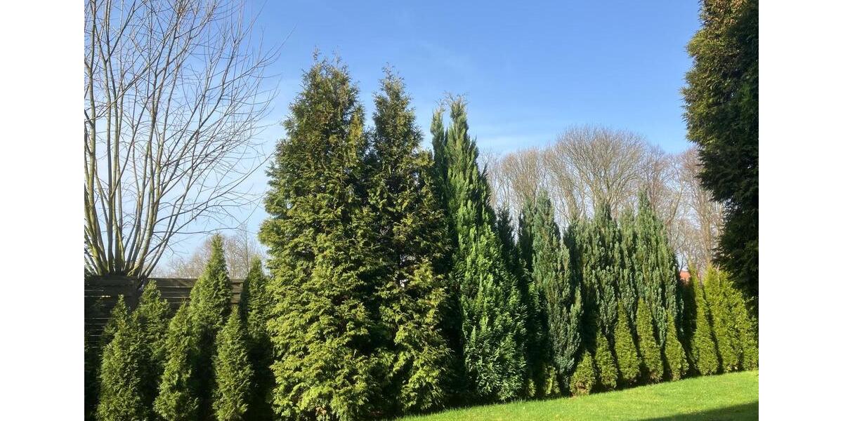 Etagenwohnung Datteln - 2.5 Zimmer, 47 m&sup2;, 400&euro; | Angebot:25854381