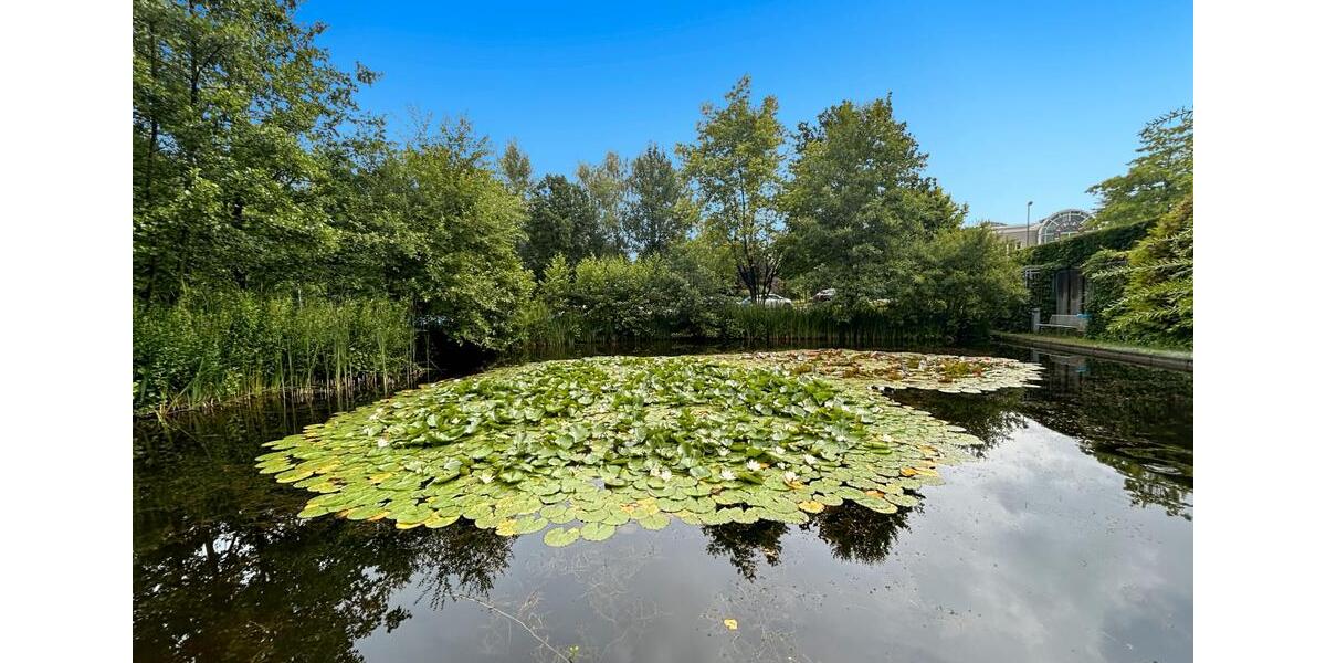 Gewerbeobjekt Essen Stadtbezirk II - 989&euro; | Angebot:22935383