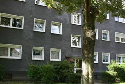 Wohnung Essen Stadtbezirk VI - 1 Zimmer, 34 m&sup2;, 359&euro; | Angebot:26042321