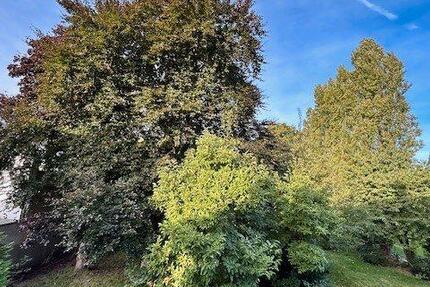 Wohnung Oberhausen Biefang - 3.5 Zimmer, 80 m&sup2;, 800&euro; | Angebot:26336410
