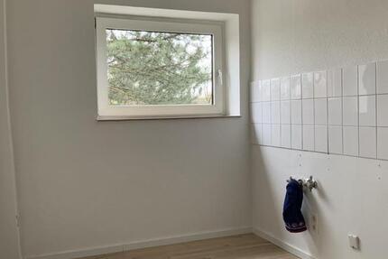 Wohnung Gelsenkirchen Gelsenkirchen-Nord - 2.5 Zimmer, 53 m&sup2;, 389&euro; | Angebot:25722259