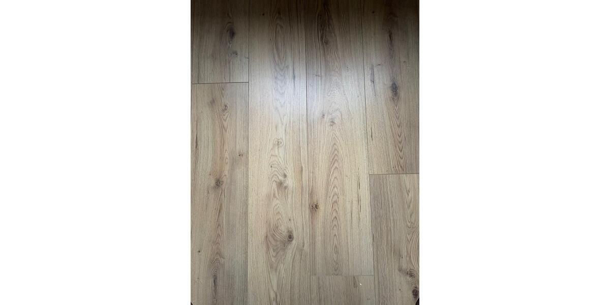 Etagenwohnung Essen Stadtbezirk II - 3 Zimmer, 74 m&sup2;, 800&euro; | Angebot:25143093