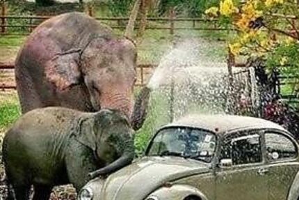 Kia Niro 49.100 km 19.950 &euro; Recklinghausen 45661