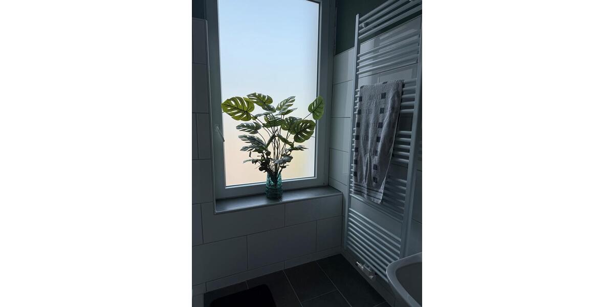 Etagenwohnung Oberhausen Alt-Oberhausen - 1 Zimmer, 35 m&sup2;, 590&euro; | Angebot:26704935