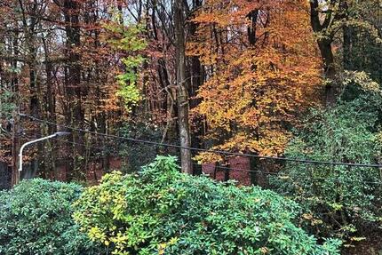 Gewerbeobjekt Wuppertal Gemarkung Ronsdorf - 238&euro; | Angebot:24746911