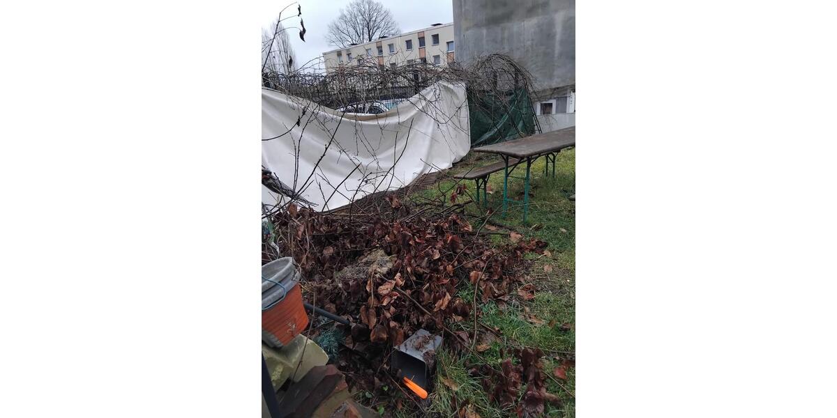 Dachgeschoßwohnung Bochum Bochum-Mitte - 4 Zimmer, 57 m&sup2;, 650&euro; | Angebot:25831729