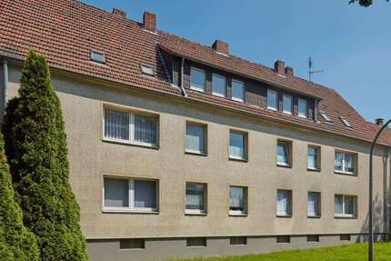 Wohnung Bochum Höntrop - 1 Zimmer, 34 m&sup2;, 360&euro; | Angebot:27063524