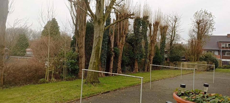 Erdgeschoßwohnung Recklinghausen Berghausen - 3 Zimmer, 65 m&sup2;, 145.000&euro; | Angebot:25972129