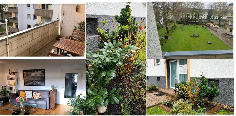 Etagenwohnung Dortmund Brackel - 2 Zimmer, 64 m&sup2;, 560&euro; | Angebot:25659982