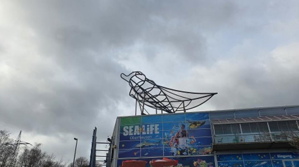 Etagenwohnung Oberhausen Biefang - 2 Zimmer, 33 m&sup2;, 368&euro; | Angebot:25855822