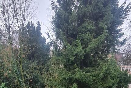 Wohnung Essen Stadtbezirk II - 3 Zimmer, 84 m&sup2;, 1.060&euro; | Angebot:25381671