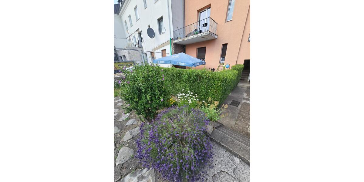 Erdgeschoßwohnung Oberhausen Osterfeld - 2.5 Zimmer, 38 m&sup2;, 430&euro; | Angebot:26423985